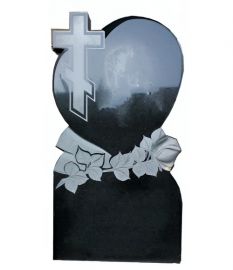 A29