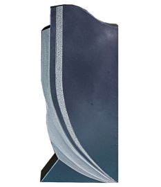 A56